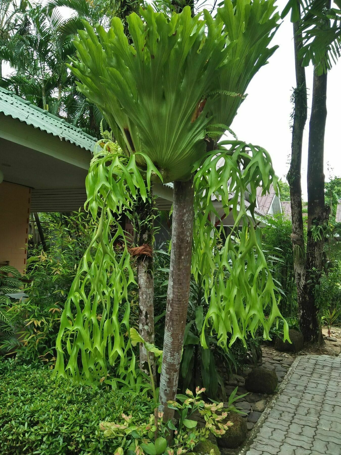 Khaolak Tusneem Resort Khao Lak Exterior photo